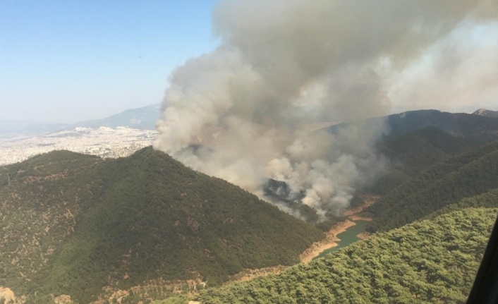 İzmir’de büyük orman yangını