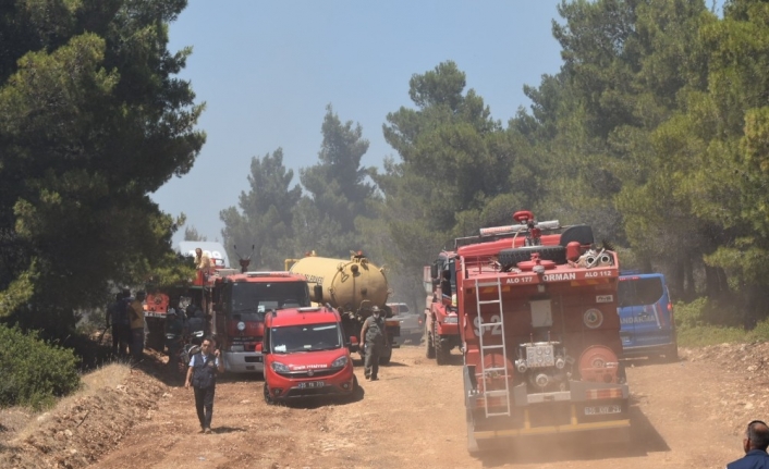 İzmir’de korkutan orman yangını