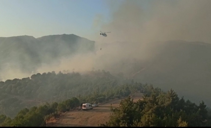 İzmir’de korkutan orman yangını: 2 helikopter, 9 arazöz müdahale ediyor