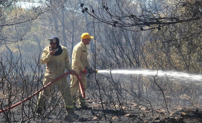 İzmir’de korkutan orman yangını ile ilgili bir şüpheli gözaltına alındı