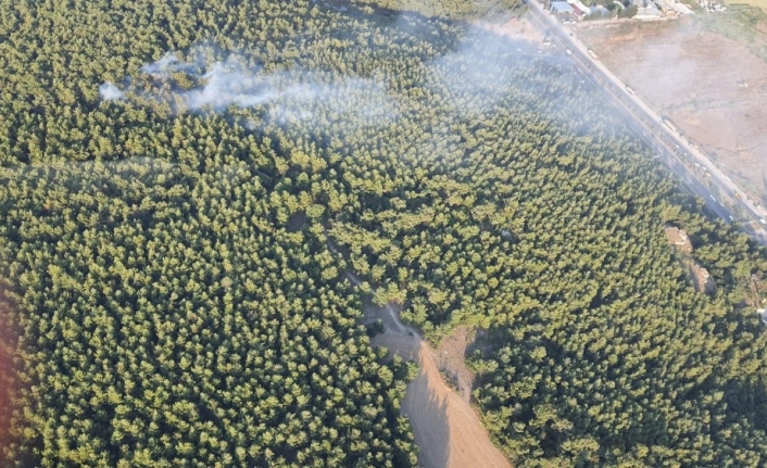 İzmir’de korkutan orman yangını kontrol altında