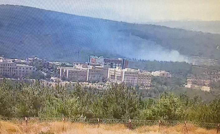 İzmir’de ormanlık alanda yangın paniği