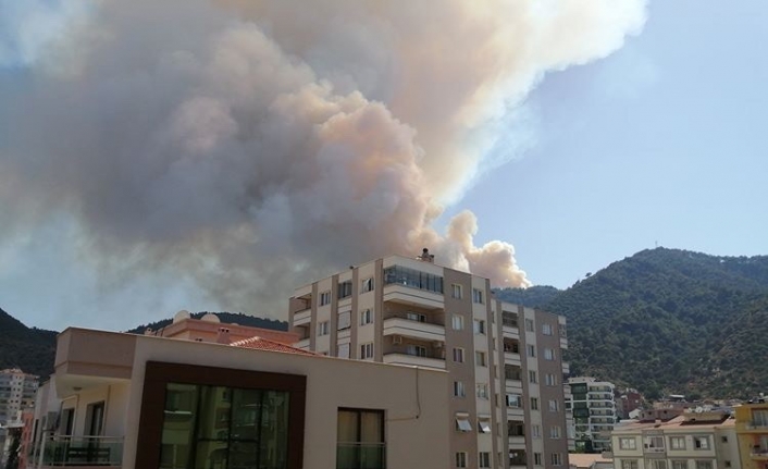 İzmir’in Balçova ilçesinde orman yangını çıktı. 2 helikopter ve 5 arazözle yangına müdahale edilirken, dumanlar kilometrelerce uzaktan bile görülüyor.