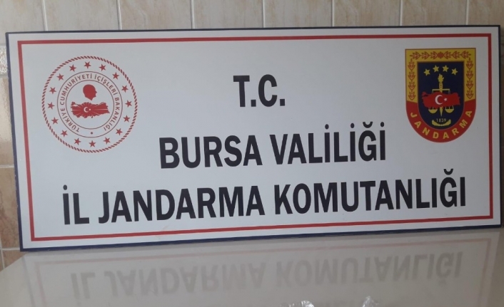 Jandarmadan uyuşturucu tacirlerine operasyon: 2 gözaltı