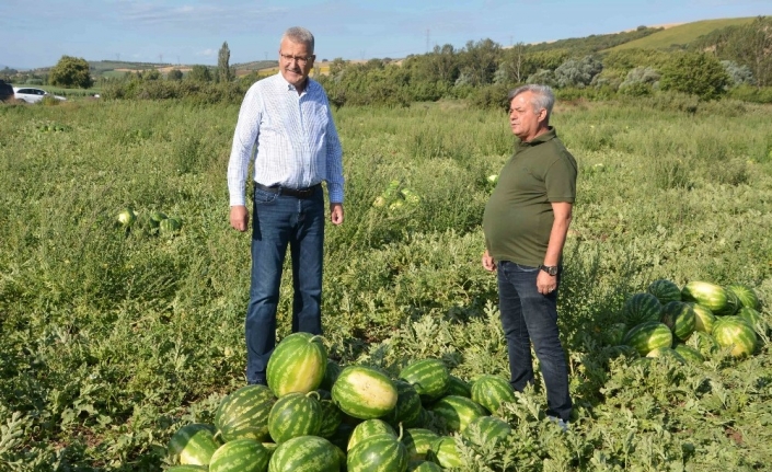 Karacabey’de karpuz hasadı başladı