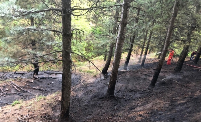 Kazdağların’da orman yangını havadan müdahale ile söndürüldü