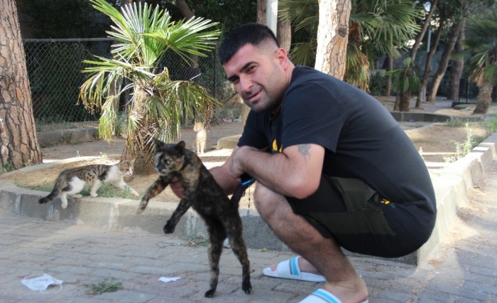 Kediyi ezmemek için motosikletiyle kaza yaptı