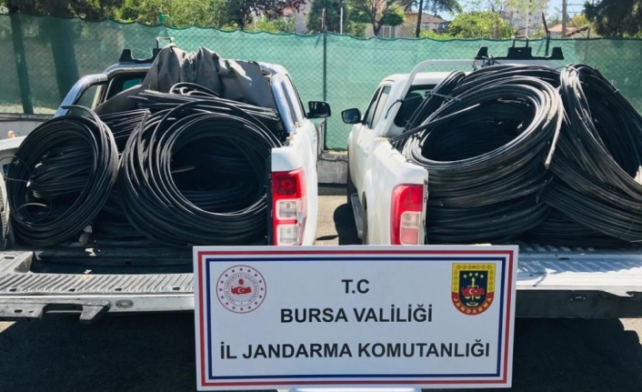 Ormanda mangal yerine çaldıkları kabloları yaktılar