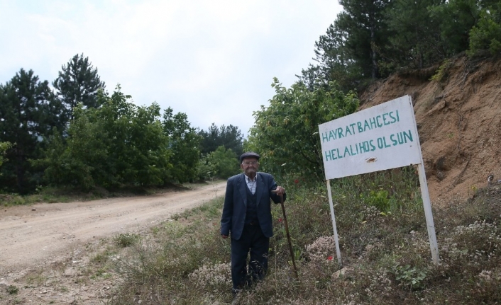 Bu bahçedeki sebze ve meyveler 23 yıldır ücretsiz