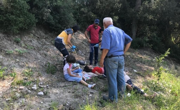 Elektrikli bisiklet kullanan Feride nine, 3 torunu ile birlikte uçuruma yuvarlandı