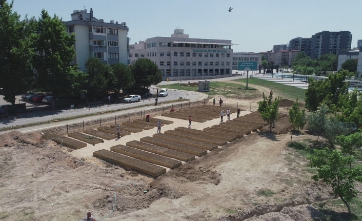 Şehrin en değerli arazisini kent bostanı yaptılar