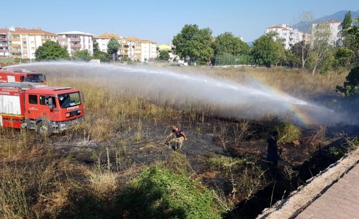 Sigara izmariti yangın çıkardı, Paşa Çiftliği tehlike atlattı