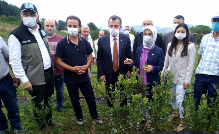 Toprak Büyükşehir’le bereketleniyor