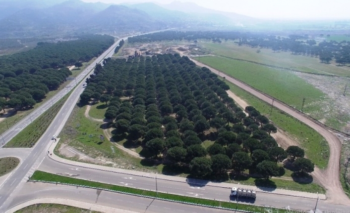 Türkiye’nin ilk gıda ihtisas organize sanayi bölgesi Ayvalık’ta kuruluyor