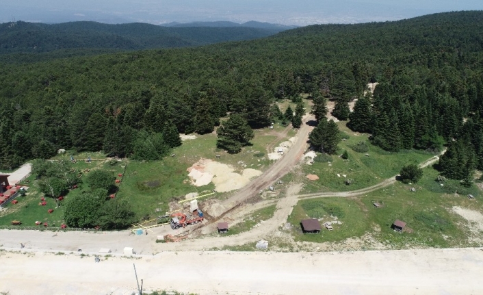 Uludağ’da altyapı çalışması için 1500 ağaç kesildi, tartışma başladı