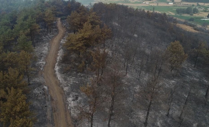 Yangının boyutu gün ağırınca ortaya çıktı