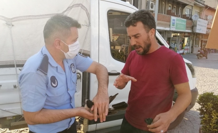 Yaralı kuşa Sındırgı Belediyesi sahip çıktı