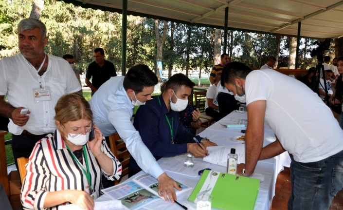 Yarış tayları ev fiyatına alıcı buldu