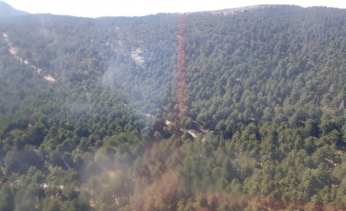 Askerlerin dikkati Kazdağları’nı yanmaktan kurtardı