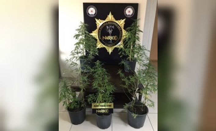 Balıkesir’de 6 şüpheliye uyuşturucu operasyonu