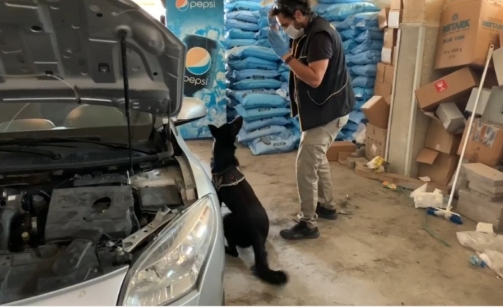 Balıkesir’de çok miktarda captagon ele geçirildi