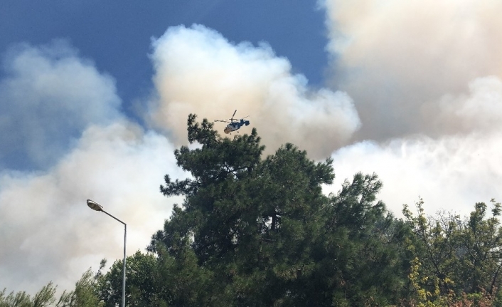 Bursa’da çıkan yangın villalara sıçradı