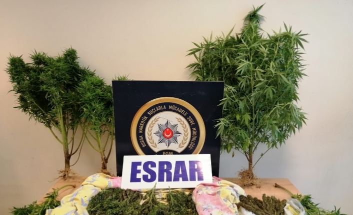 Bursa’da uyuşturucu operasyonu: 3 gözaltı