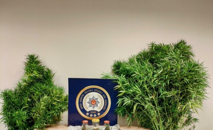 Bursa’da uyuşturucu operasyonu: 4 tutuklama