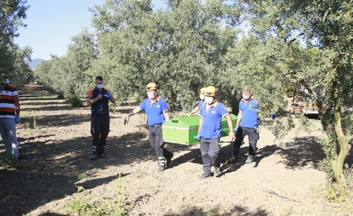 Bursa’daki feci cinayetin ardından ’zeytinlik’ çıktı