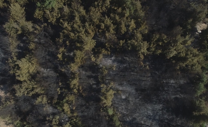 Bursa’daki orman yangınının boyutu havadan böyle görüntülendi