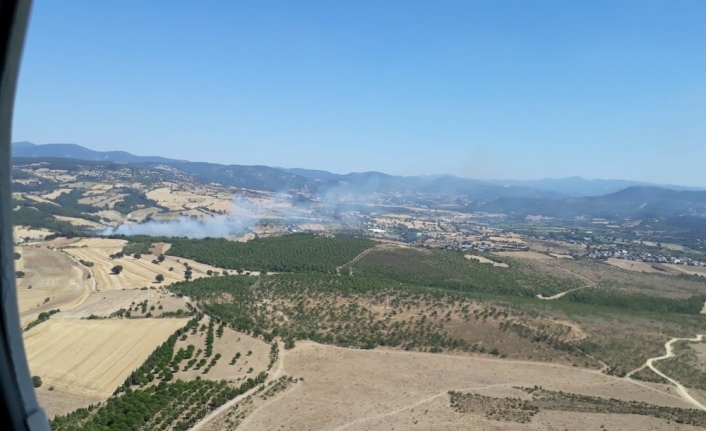 Çanakkale Özbek köyünde orman yangını