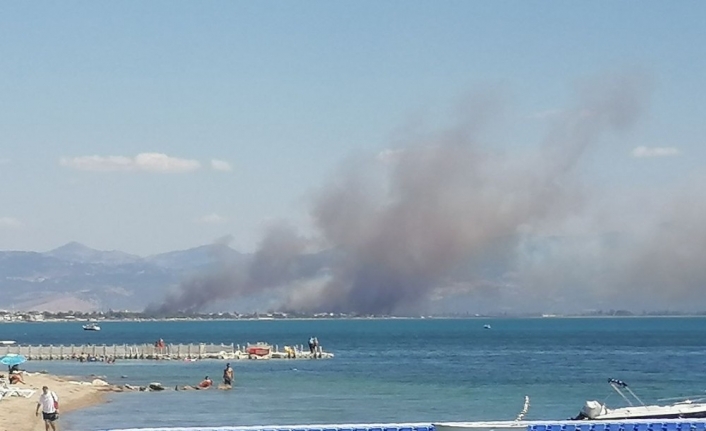 Edremit Körfezi’nde yangın