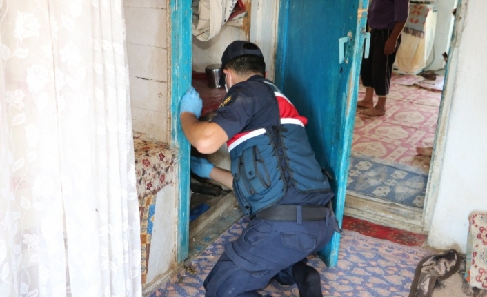 İzmir Jandarmasından narkotik operasyonu