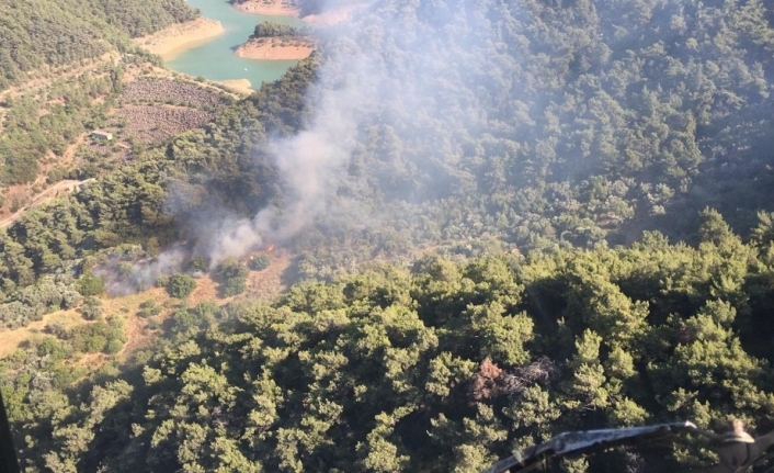 İzmir’de baraj yakınlarında orman yangını paniği