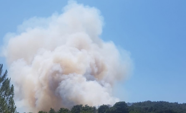 İzmir’de bir orman yangını daha çıktı