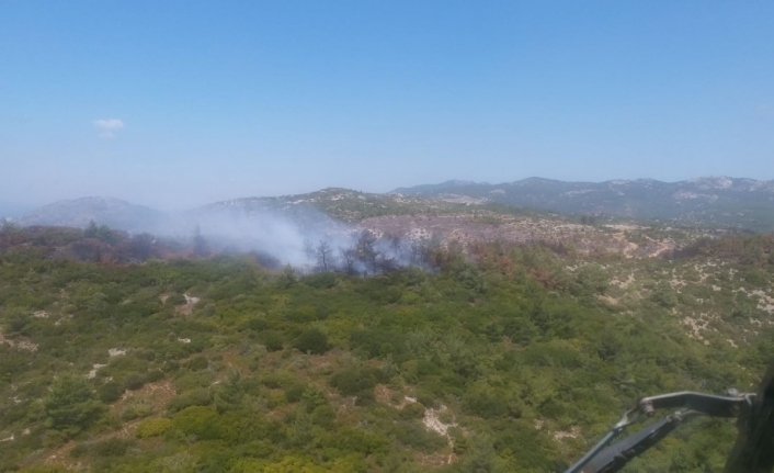 İzmir’de korkutan orman yangını