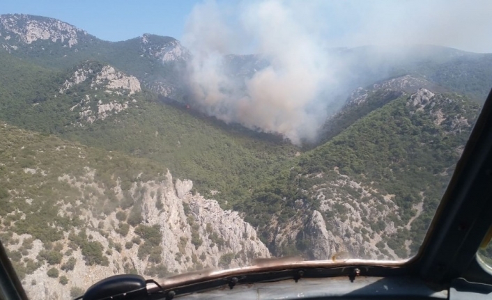 İzmir’de makilik alanda çıkan yangın kontrol altına alındı