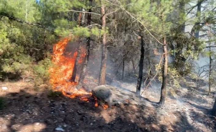 İzmir’de ormanlık alanda yangın