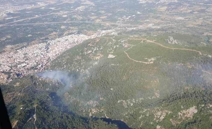İzmir’de peş peşe orman yangınları