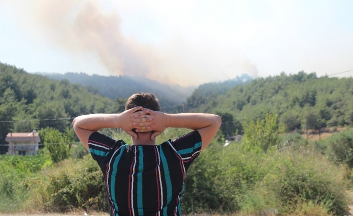 İzmir’deki orman yangınında alevler mahalleyi tehdit ediyor