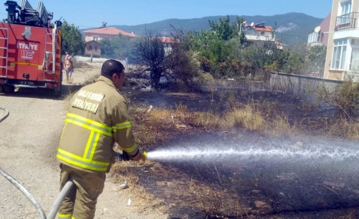 Kaynak makinesinden çıkan kıvılcım zeytin ağaçlarını yaktı