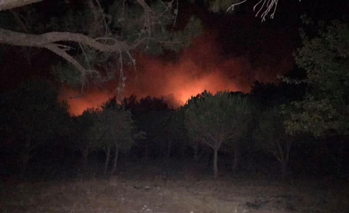 Kazdağları’ndaki yangın büyümeden söndürüldü