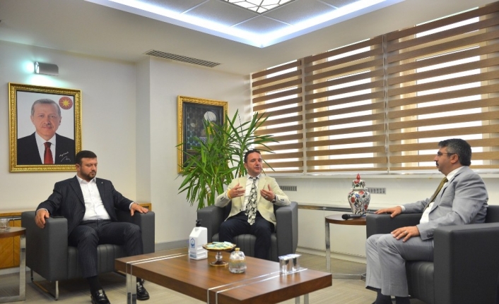 Kişi başı bir metrekare yeşil alan