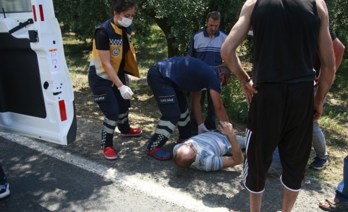 Lastiği patlayan fırın aracı zeytinliğe uçtu: 1 yaralı