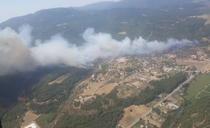 Menderes’teki orman yangını devam ediyor