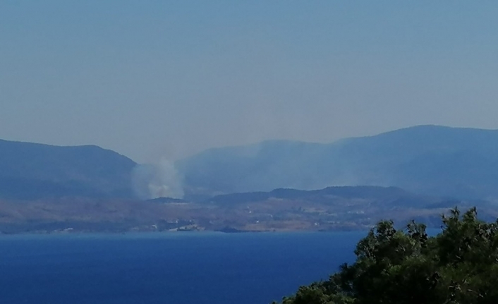 Midilli Adası’nda korkutan yangın