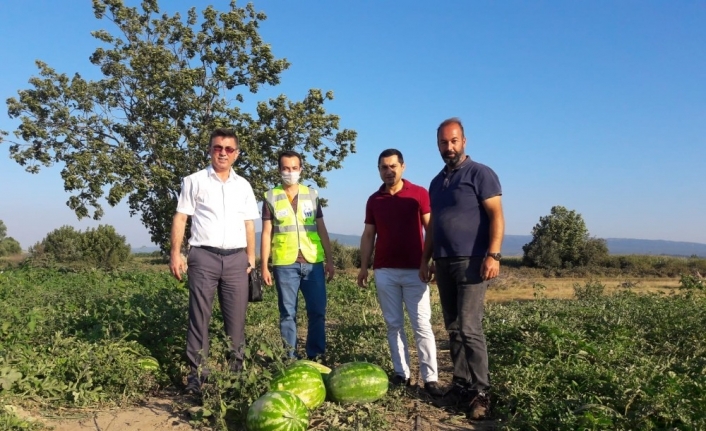 Mustafakemalpaşalı çiftçinin yüzü yeni gelir kaynaklarıyla gülecek