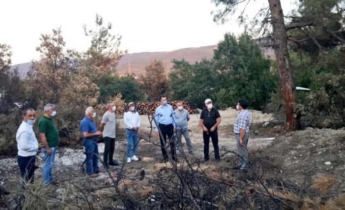 Nilüfer’de ağaç dikme seferberliği başlıyor