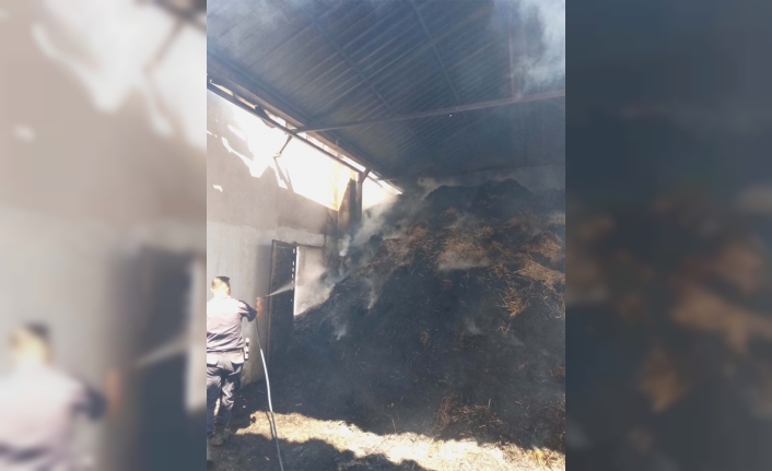 Paşaliman Adasında yangında 3 ve 1 samanlık yandı