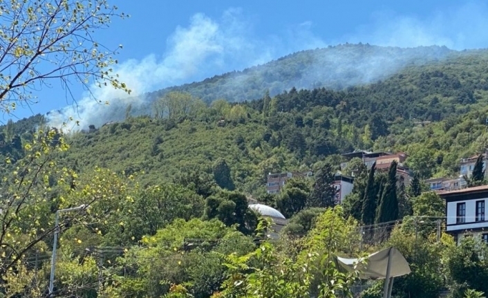 Uludağ eteklerinde korkutan yangın